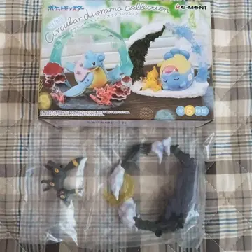 리멘트 포켓몬 블래키