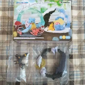 리멘트 포켓몬 블래키