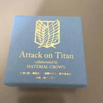 진격의 거인 엘빈 반지