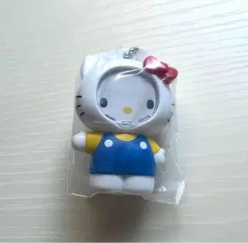 사진 프레임 마스코트 키티