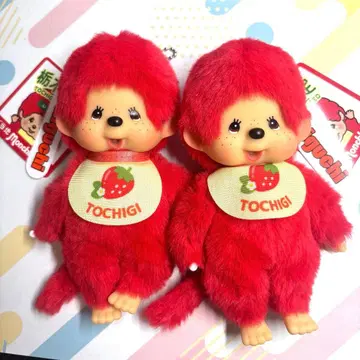 몬치치 고토치 도치기 세트 판매