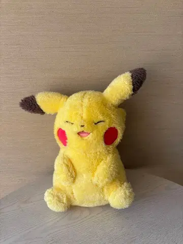 피카츄 봉제 인형