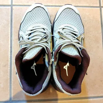 미즈노 트레이닝용 러닝화 브라운