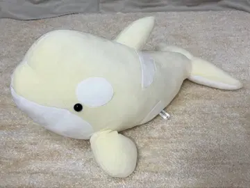 나고야항 수족관 범고래 복권 2등