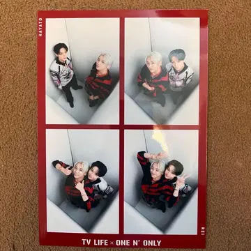 ONE N' ONLY 원엔 아마조니아 카드 REI HAYATO