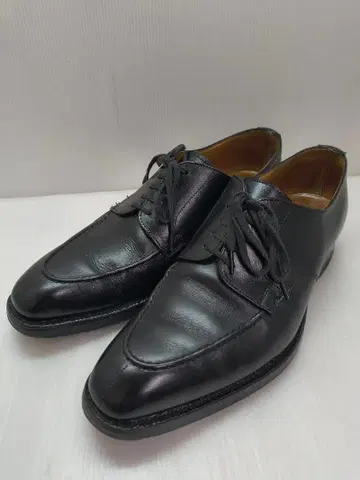 조셉 치니 JOSEPH CHEANEY U칩