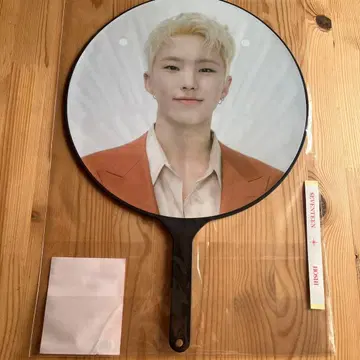 호시 BE THE SUN 부채