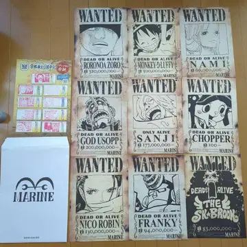 원피스 지명수배 포스터