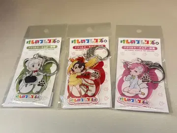 케모노 프렌즈전 아크릴 키링 도감 3종 컴프 세트