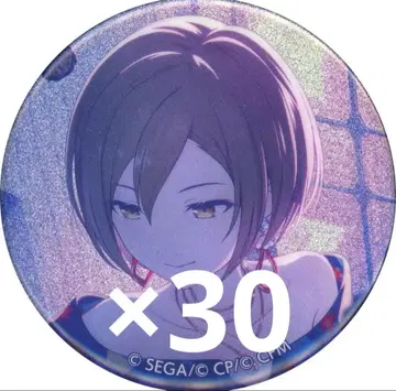 프로세카 MEIKO 글리터 캔배치 blender 42A 30개