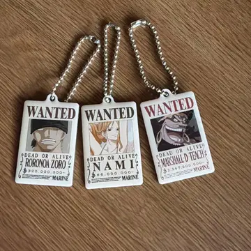 원피스 아크릴 키링 3개 세트