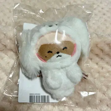 ZEROBASEONE 제로니 사진 홀더 장하오 하니니