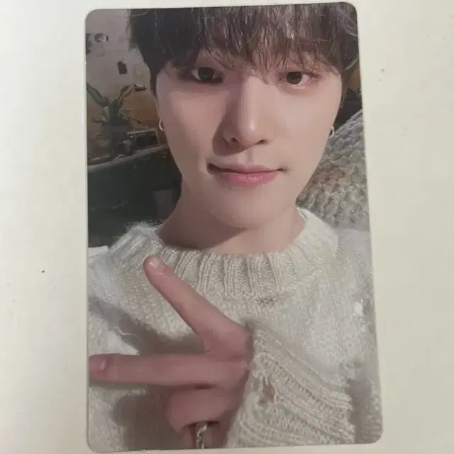 세븐틴 디노 페더썬 위버스 앨범 포카