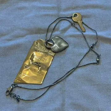 이케다 에이사 착용 Zara 목걸이 노기자카46