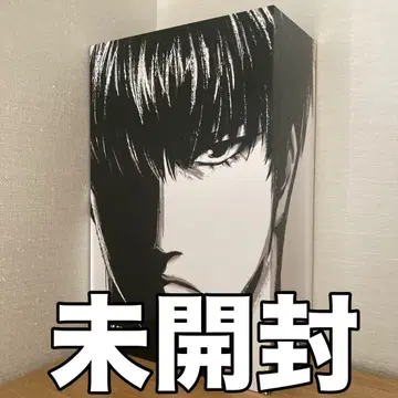 미개봉 피규어 슬램덩크 서태웅(루카와 카에데) NOVA Studio