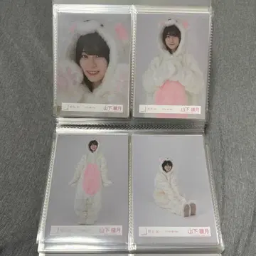 사쿠라자카46 야마시타 시즈키 동물 인형옷 코디 브로마이드