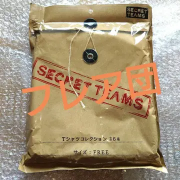 [ SECRET TEAMS ] 플레어단 T셔츠 [ 포켓몬 센터 한정품 ]