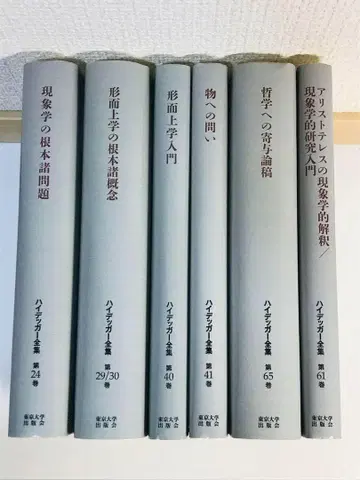 하이데거 전집 6권 세트