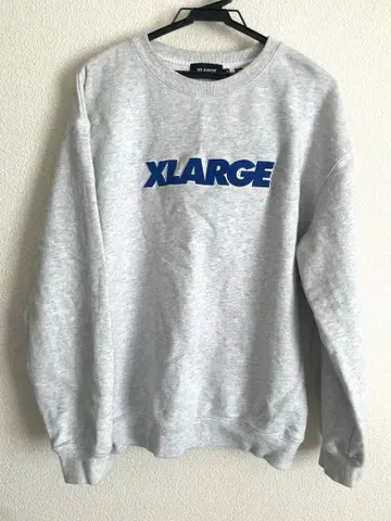 XLARGE 그레이 트레이닝복/맨투맨 M