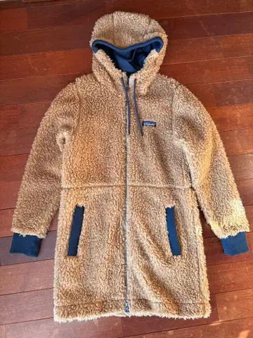 Patagonia 더스티 메사 후드티