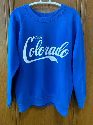 프룻 오브 더 룸 맨투맨 콜로라도 파랑 블루 구제 의류