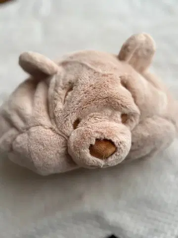 디즈니 푸우 팬캡