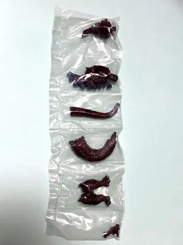 [ 미개봉 ] 고질라 피규어 가챠