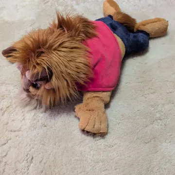 비스트 포옹 봉제 인형 약 61cm