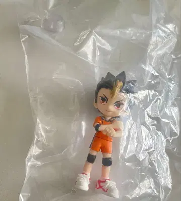 하이큐 PalVerse 파르버스 니시노야