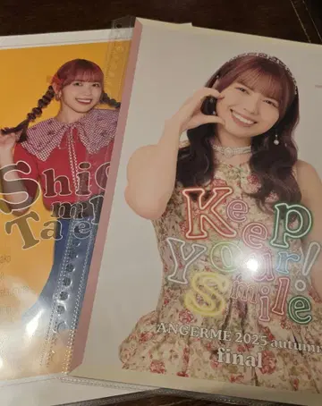 안쥬르므 타메나가 시온 컬렉션 핀업 포스터