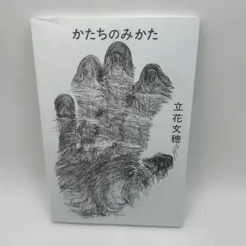 모양의 보는 법