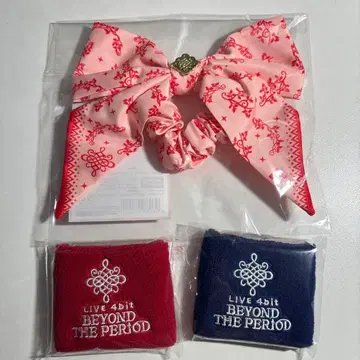 BEYOND THE PERIOD 헤어 액세서리 세트