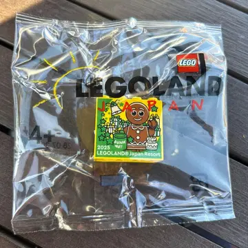 레고랜드 2025 크리스마스 한정판 블록