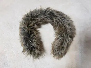 THE NORTH FACE ANTARCTICA PARKA 의 퍼