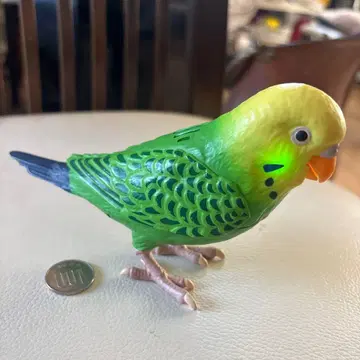 천재 잉꼬짱 타카라토미