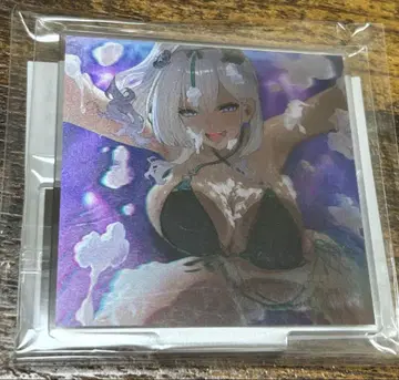 브라운더스트2 NEO3D 복권 C상 입체 캐릭터 패널 네브리스