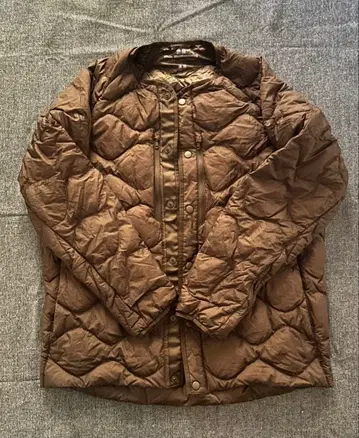 화이트 마운테니어링 브라운