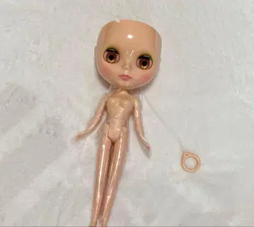 네오 브라이스 어반 페어리 엘리 본체만 두피 없음