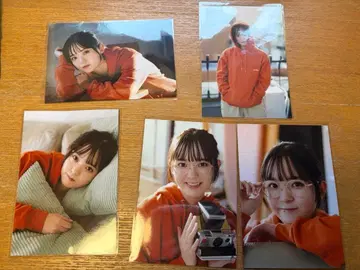 니이 노조미 Mygirl 사진