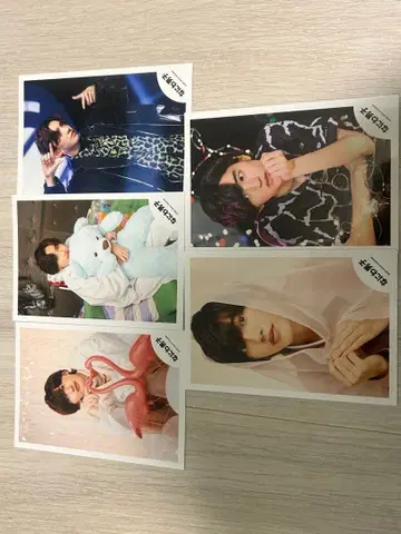 나니와단시 미치에다 슌스케 공식 사진