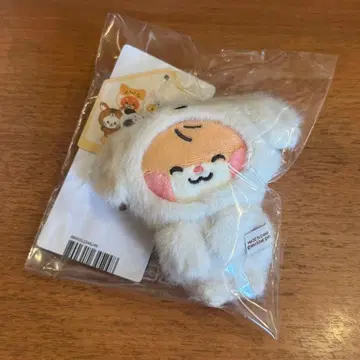 zeroni 비니니 마그넷 사진 홀더 zb1 비니니 한빈