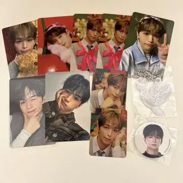 고토 타케루 세트