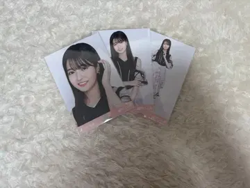 세토구치 신게츠 브로마이드 Samenumbers