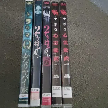 심령 영상 DVD 5장 세트 4 (렌탈 포함)