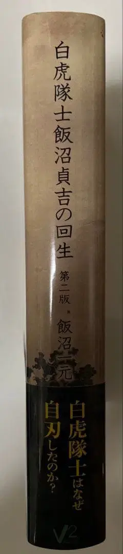 백호대사 이누마 사다키치의 회생 제2판
