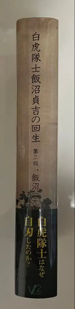백호대사 이누마 사다키치의 회생 제2판