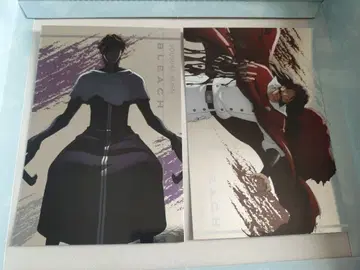 BLEACH 메탈 엽서 컬렉션 아이젠 소스케 유하바하