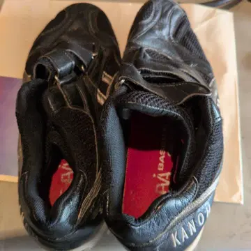 한신 타이거즈 전 카리노 선수 실사용 스파이크