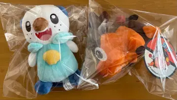 포켓몬 센터 한정판 포카브 미주말