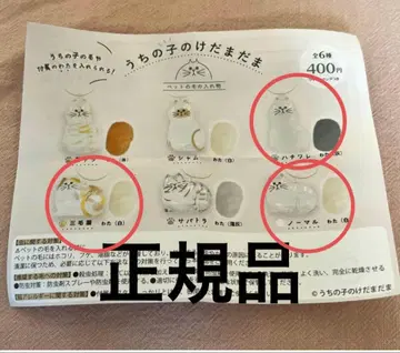 우리 아이 털뭉치 가챠가챠 반려동물 털 보관함 3종 세트